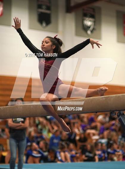 Thumbnail 1 in Loveland Gymnastics Invitational photogallery.