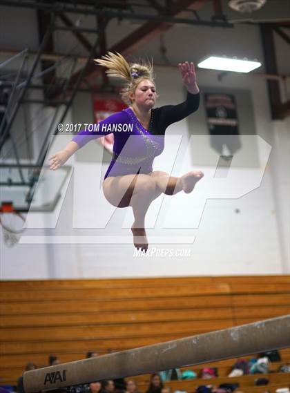 Thumbnail 1 in Loveland Gymnastics Invitational photogallery.