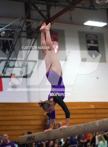 Thumbnail 3 in Loveland Gymnastics Invitational photogallery.