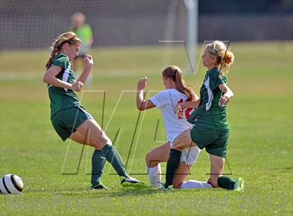 Thumbnail 3 in Montgomery @ Lenape photogallery.