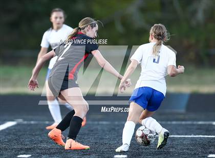 Thumbnail 3 in Rochester @ Tenino photogallery.