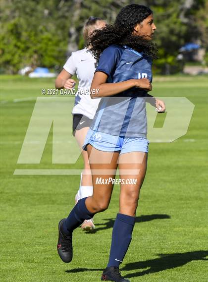 Thumbnail 3 in Pomona @ Ralston Valley photogallery.