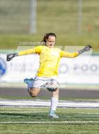 Photo from the gallery "Ridgeline vs. Sky View (UHSAA 4A Quarterfinal)"