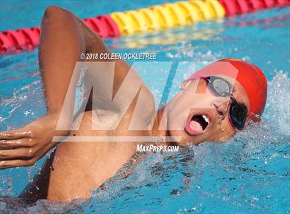 Thumbnail 1 in Cathedral Catholic @ Mt Carmel photogallery.