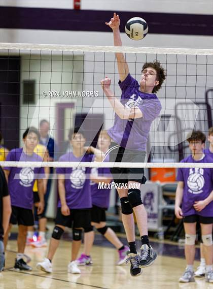 Thumbnail 3 in East Noble @ Leo photogallery.