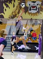 Photo from the gallery "East Noble @ Leo"