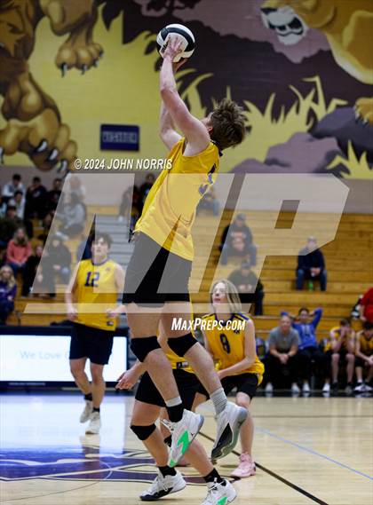 Thumbnail 3 in East Noble @ Leo photogallery.