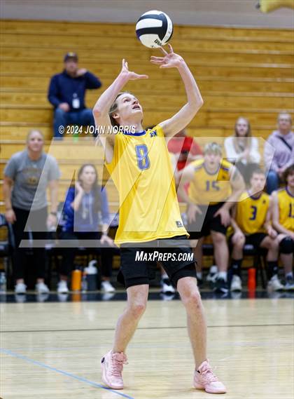 Thumbnail 3 in East Noble @ Leo photogallery.