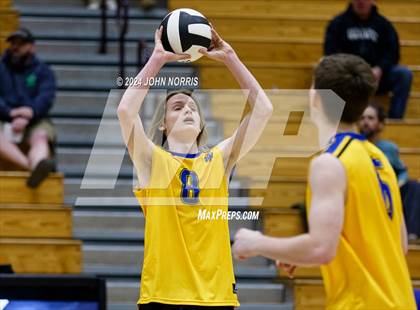 Thumbnail 3 in East Noble @ Leo photogallery.