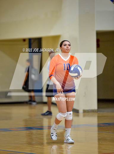 null - Photo 21