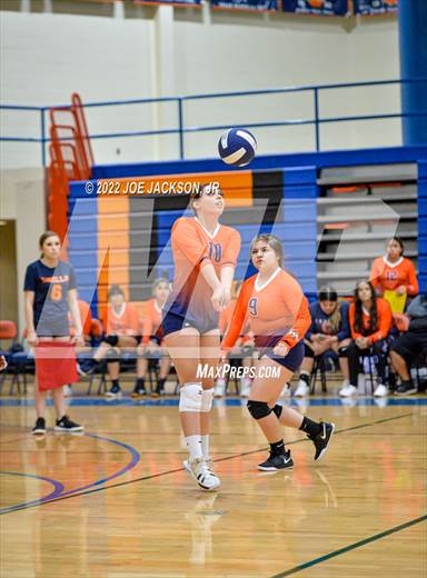null - Photo 31