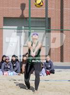 Photo from the gallery "South @ Torrance"