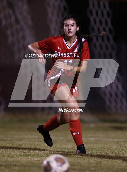 Thumbnail 1 in Great Bridge @ Grassfield photogallery.