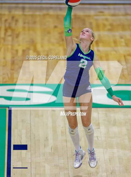 Thumbnail 3 in North Forsyth @ Harrison (GHSA AAAAAA State Volleyball Tournament - 2nd Round) photogallery.