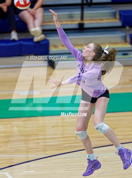 Thumbnail 2 in North Forsyth @ Harrison (GHSA AAAAAA State Volleyball Tournament - 2nd Round) photogallery.