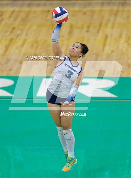 Thumbnail 3 in North Forsyth @ Harrison (GHSA AAAAAA State Volleyball Tournament - 2nd Round) photogallery.