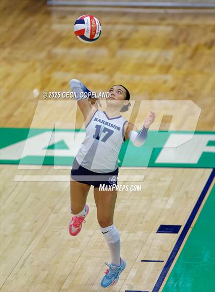 Thumbnail 2 in North Forsyth @ Harrison (GHSA AAAAAA State Volleyball Tournament - 2nd Round) photogallery.