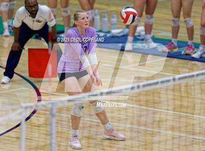Thumbnail 3 in North Forsyth @ Harrison (GHSA AAAAAA State Volleyball Tournament - 2nd Round) photogallery.