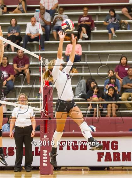 Thumbnail 3 in Red Oak @ Lewisville photogallery.