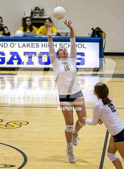 Thumbnail 3 in Sunlake @ Land O' Lakes photogallery.