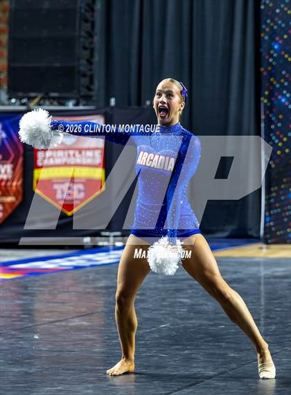 Thumbnail 1 in Arcadia - (AIA Division II Final) photogallery.
