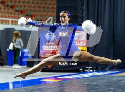 Thumbnail 1 in Arcadia - (AIA Division II Final) photogallery.