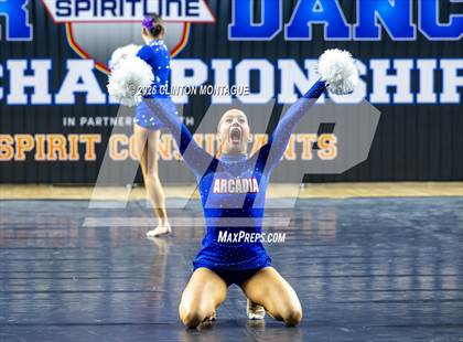 Thumbnail 1 in Arcadia - (AIA Division II Final) photogallery.