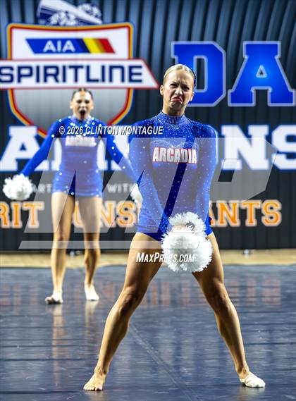 Thumbnail 2 in Arcadia - (AIA Division II Final) photogallery.