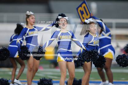 Thumbnail 3 in Brighton @ Irondequoit photogallery.