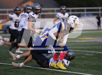 Thumbnail 2 in Brighton @ Irondequoit photogallery.
