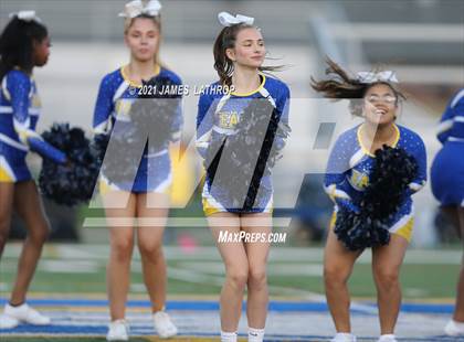 Thumbnail 1 in Brighton @ Irondequoit photogallery.