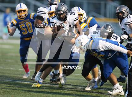 Thumbnail 1 in Brighton @ Irondequoit photogallery.