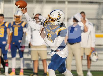 Thumbnail 1 in Brighton @ Irondequoit photogallery.