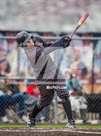 Photo from the gallery "Servite @ Ayala"