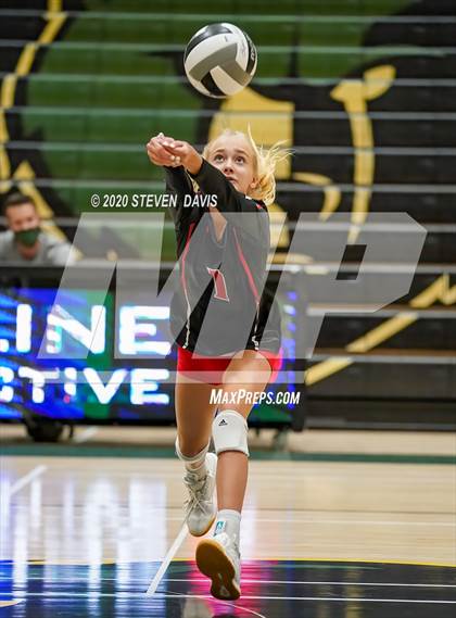 Thumbnail 1 in Liberty @ Basha photogallery.