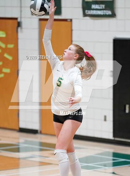 Thumbnail 2 in Liberty @ Basha photogallery.