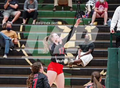 Thumbnail 2 in Liberty @ Basha photogallery.