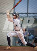 Photo from the gallery "Covington @ Arlington"