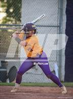 Photo from the gallery "Covington @ Arlington"