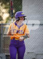 Photo from the gallery "Covington @ Arlington"