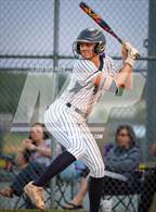 Photo from the gallery "Covington @ Arlington"