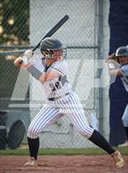 Photo from the gallery "Covington @ Arlington"