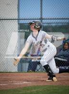 Photo from the gallery "Covington @ Arlington"