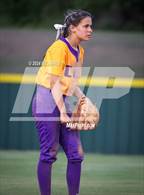 Photo from the gallery "Covington @ Arlington"