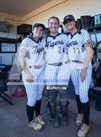 Photo from the gallery "Covington @ Arlington"