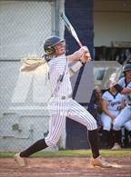 Photo from the gallery "Covington @ Arlington"
