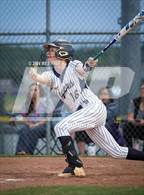 Photo from the gallery "Covington @ Arlington"