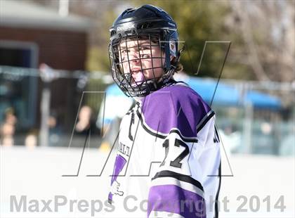 Thumbnail 1 in Holt vs. Ft. Zumwalt West (St. Louis Winter Classic) photogallery.