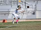 Photo from the gallery "Quartz Hill @ Eastside"