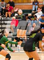 Photo from the gallery "Monterey Trail @ Kennedy"